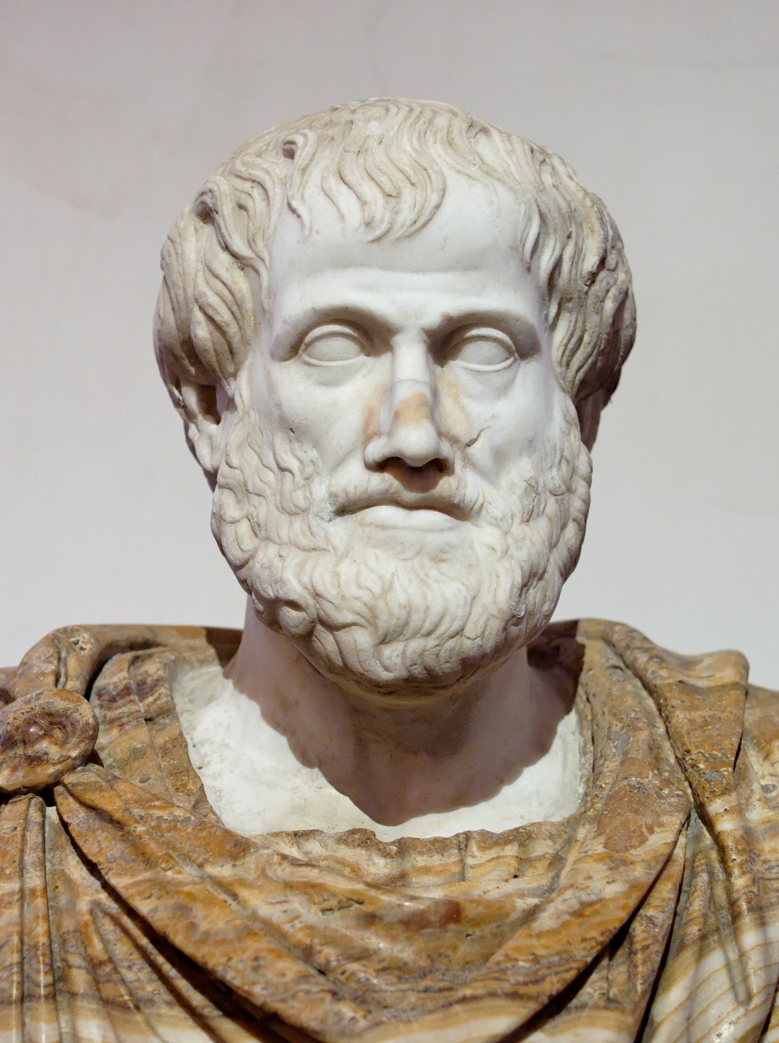 Busto de Aristóteles conservado en el Palazzo Altemps.